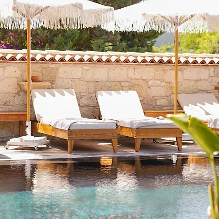 Limonaia Bed and breakfast 2*